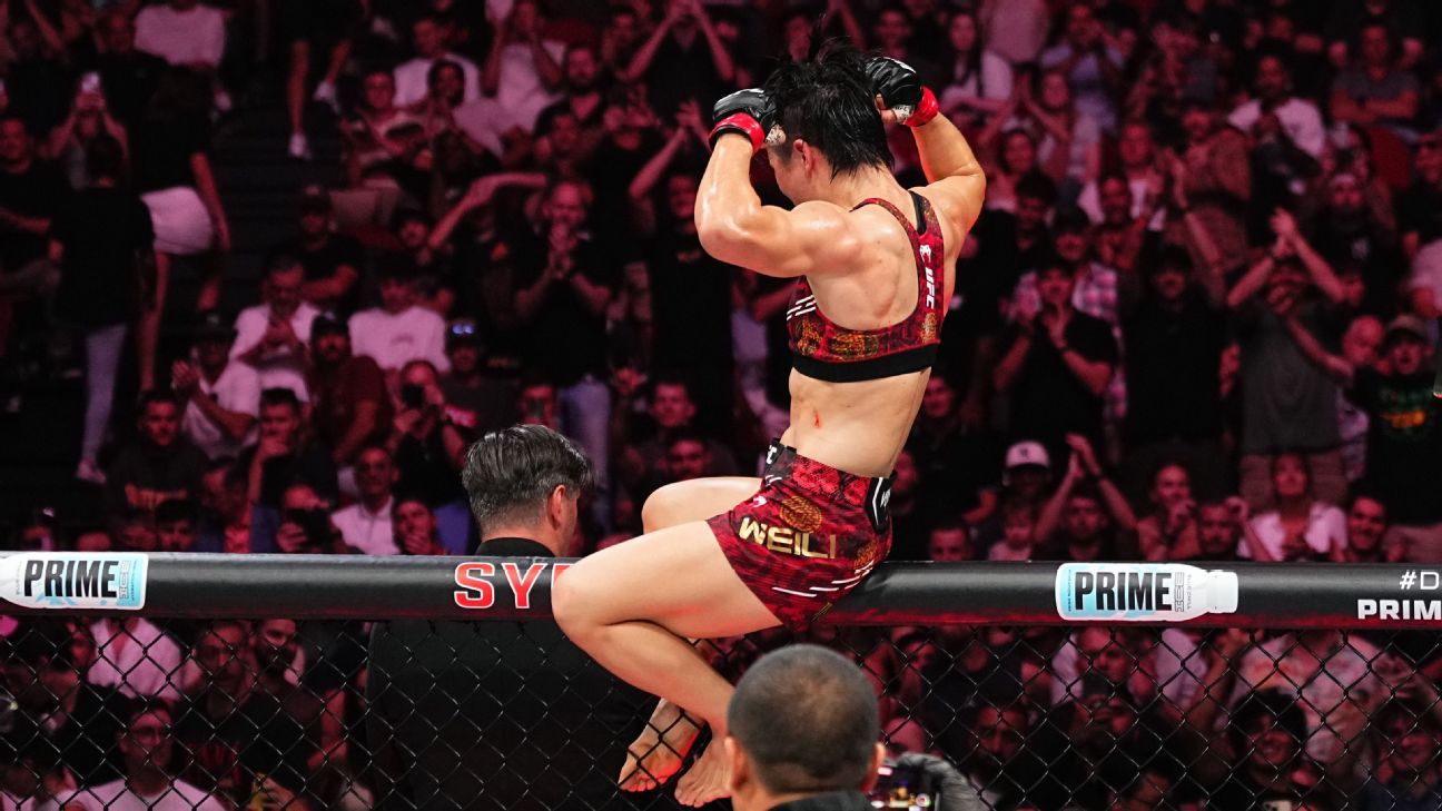 战术灵活性 战术灵活性