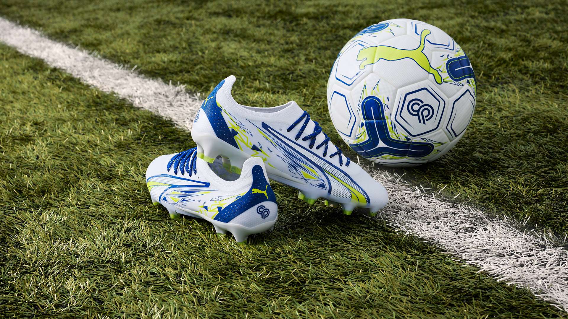 球员们身着 球员们身着