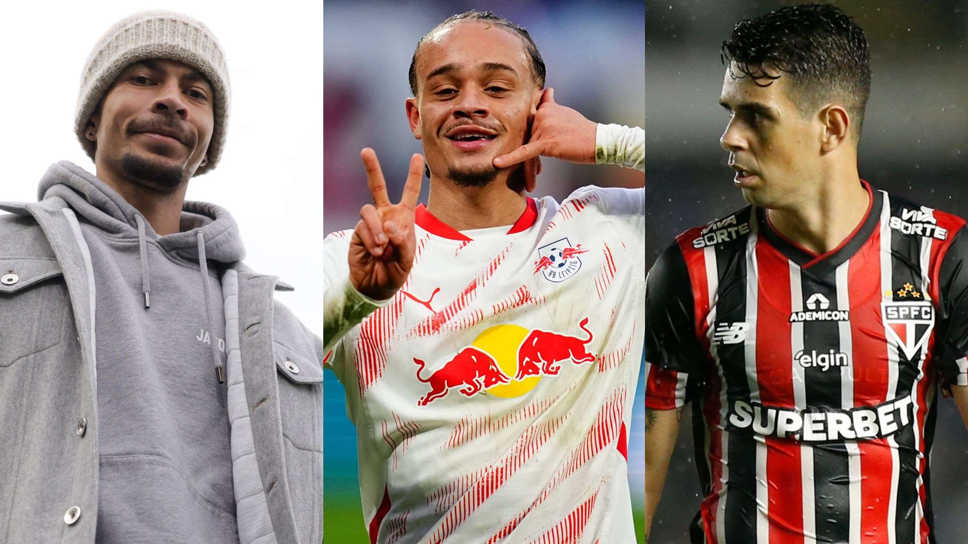 不仅降低了 不仅降低了